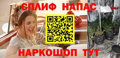 Альфа ПВП Сланцы