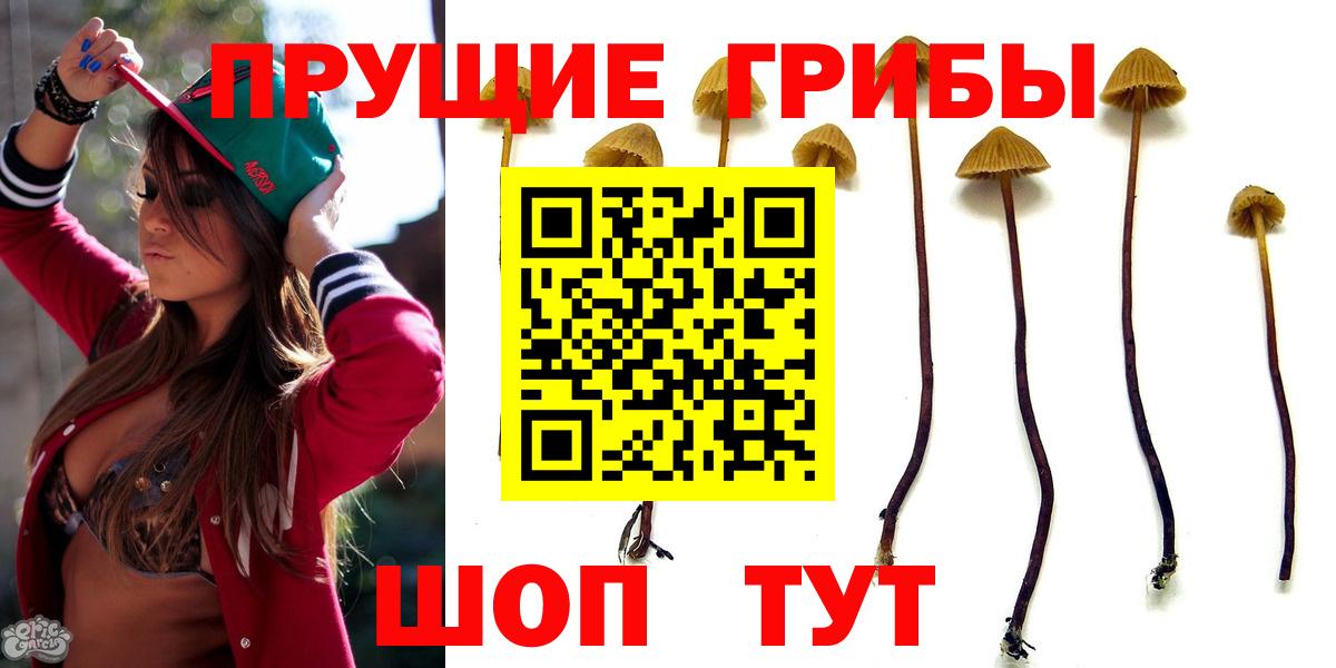 Скопин  Галлюциногенные грибы ЛСД  Вход с VPN 